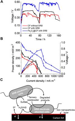 Iron Oxide–Modified Carbon Electrode and Sulfate-Reducing Bacteria for Simultaneous Enhanced Electricity Generation and Tannery Wastewater Treatment